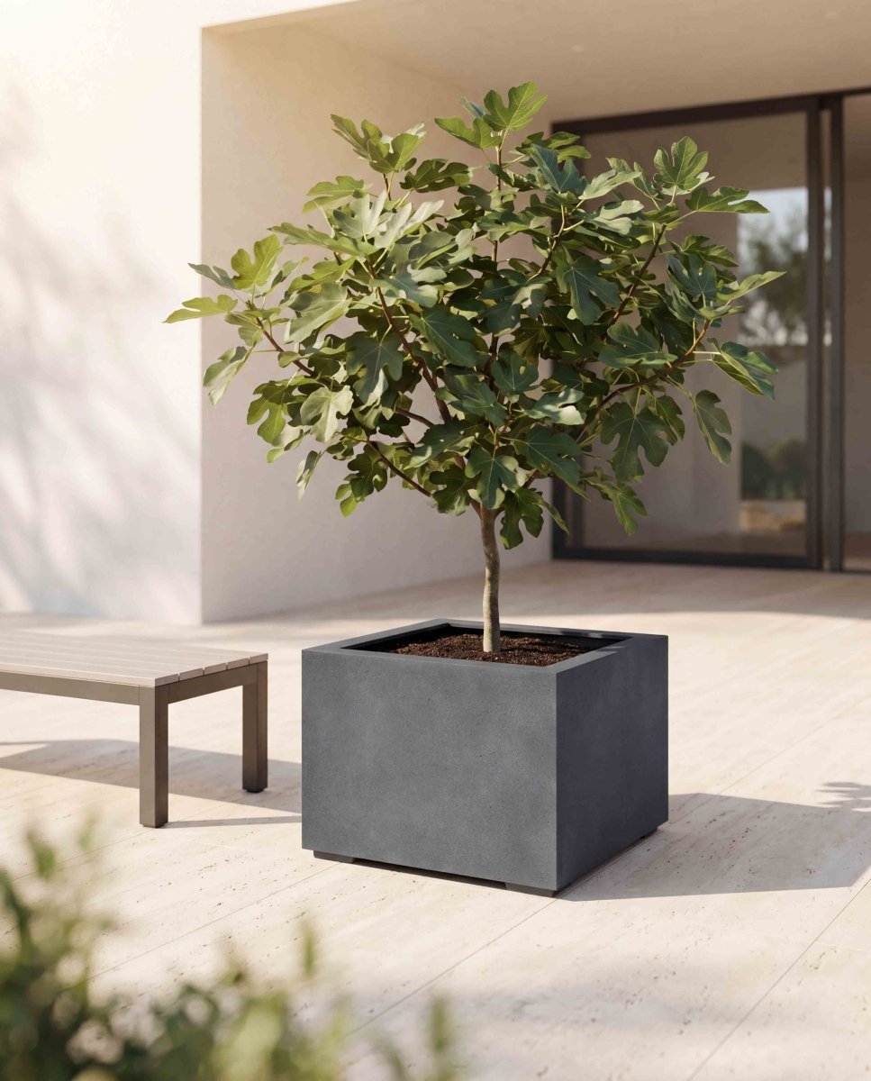 Low Cube | Loft Collection | Lead Grey - ESCHBACH