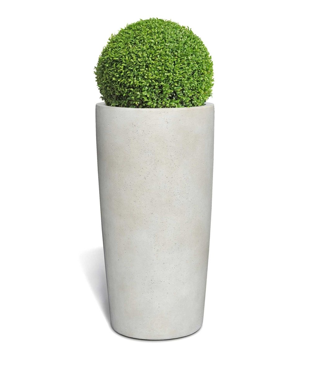 High Conus | Loft Collection | Off White - ESCHBACH