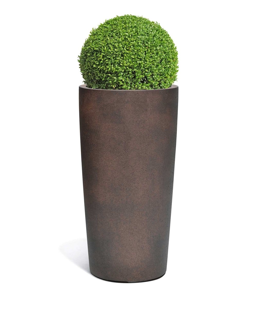 High Conus | Loft Collection | Rust Brown - ESCHBACH