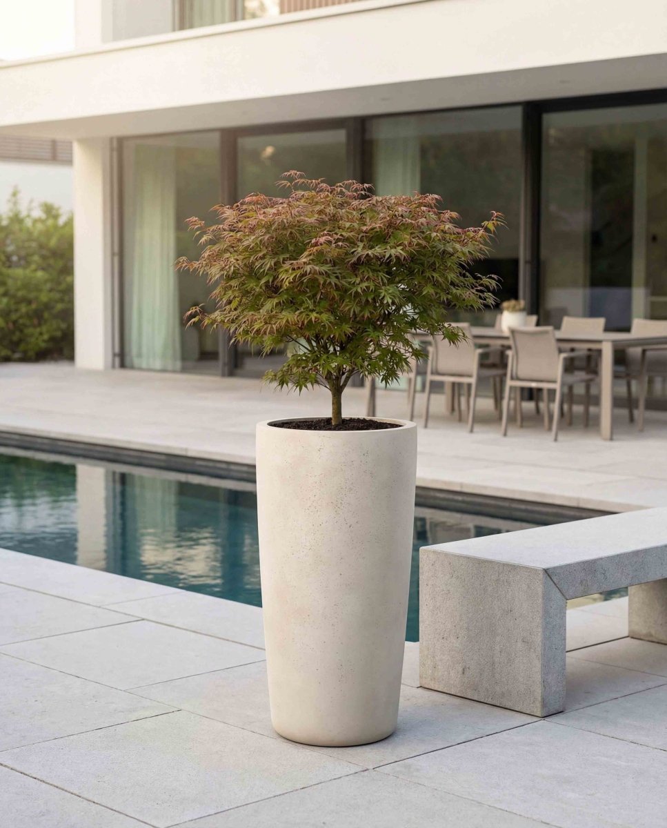 High Conus | Loft Collection | Off White - ESCHBACH