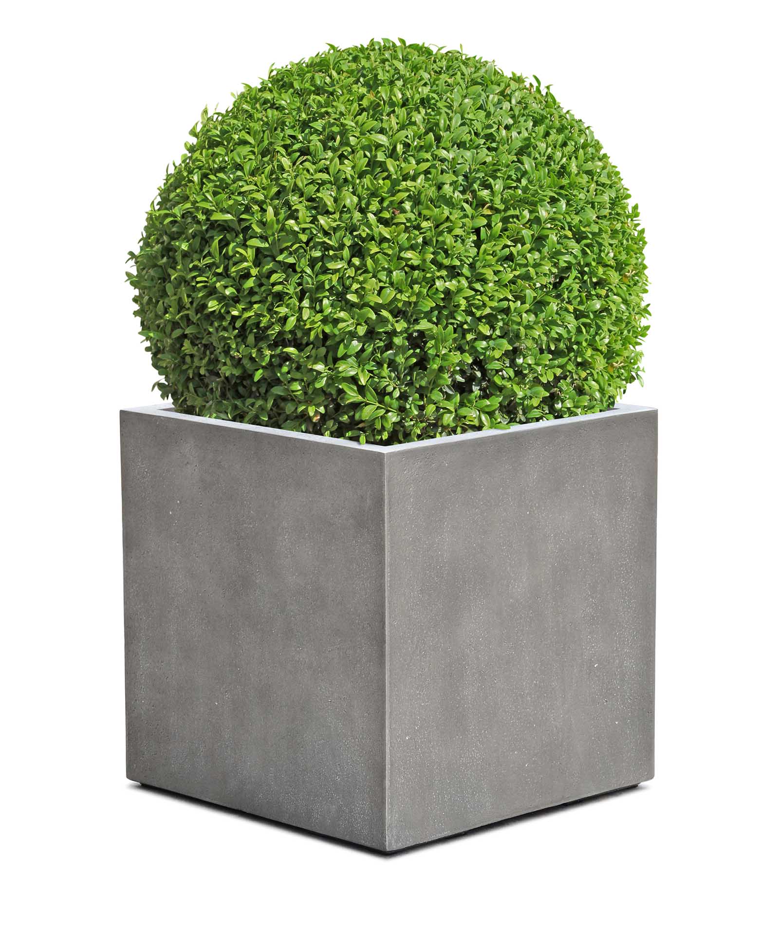 Cube | Loft Collection | Concrete Grey