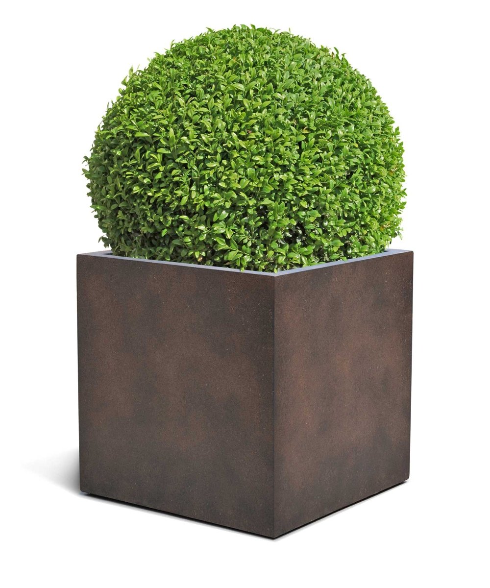 Cube | Loft Collection | Rust Brown - ESCHBACH