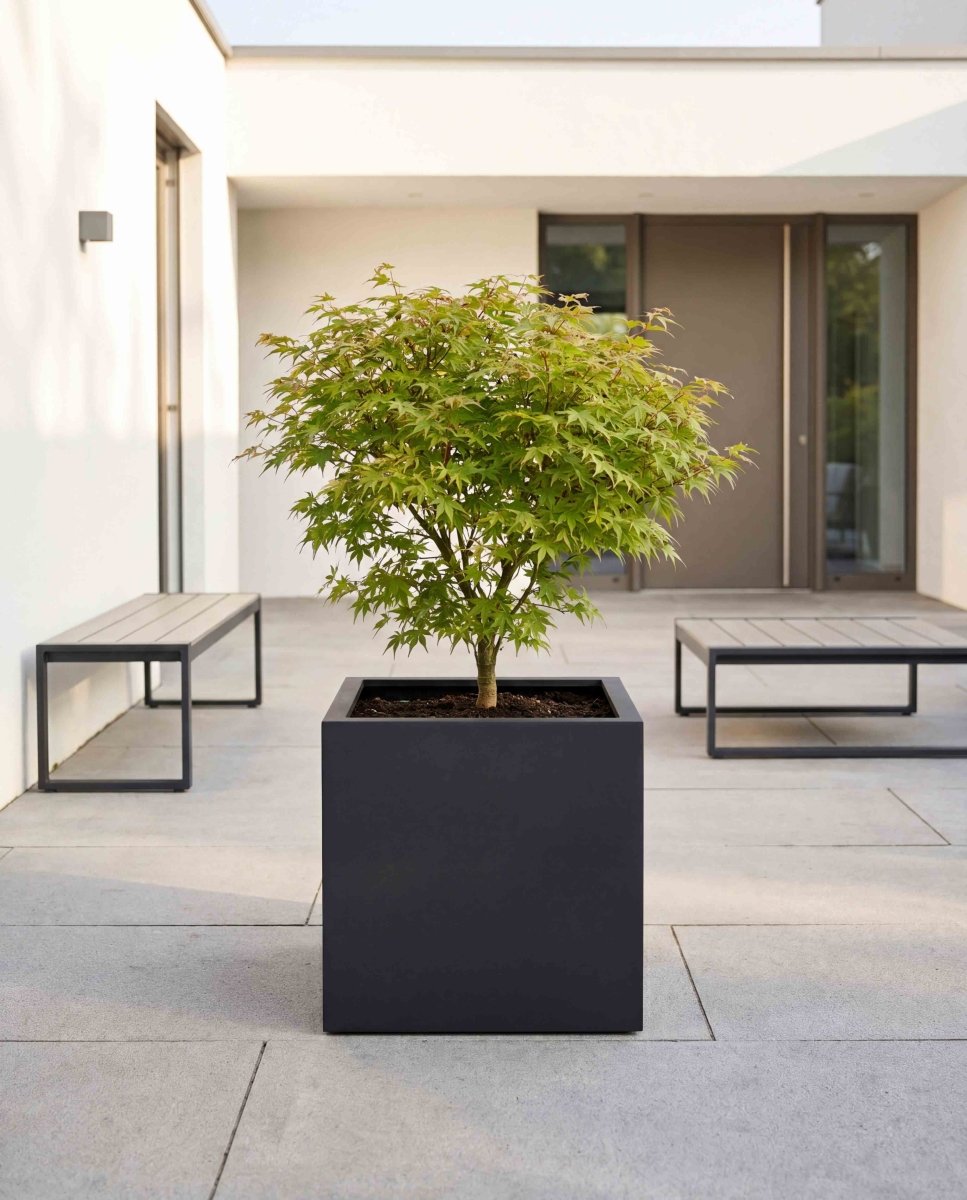 Cube | Pure Collection | Onyx Black - ESCHBACH