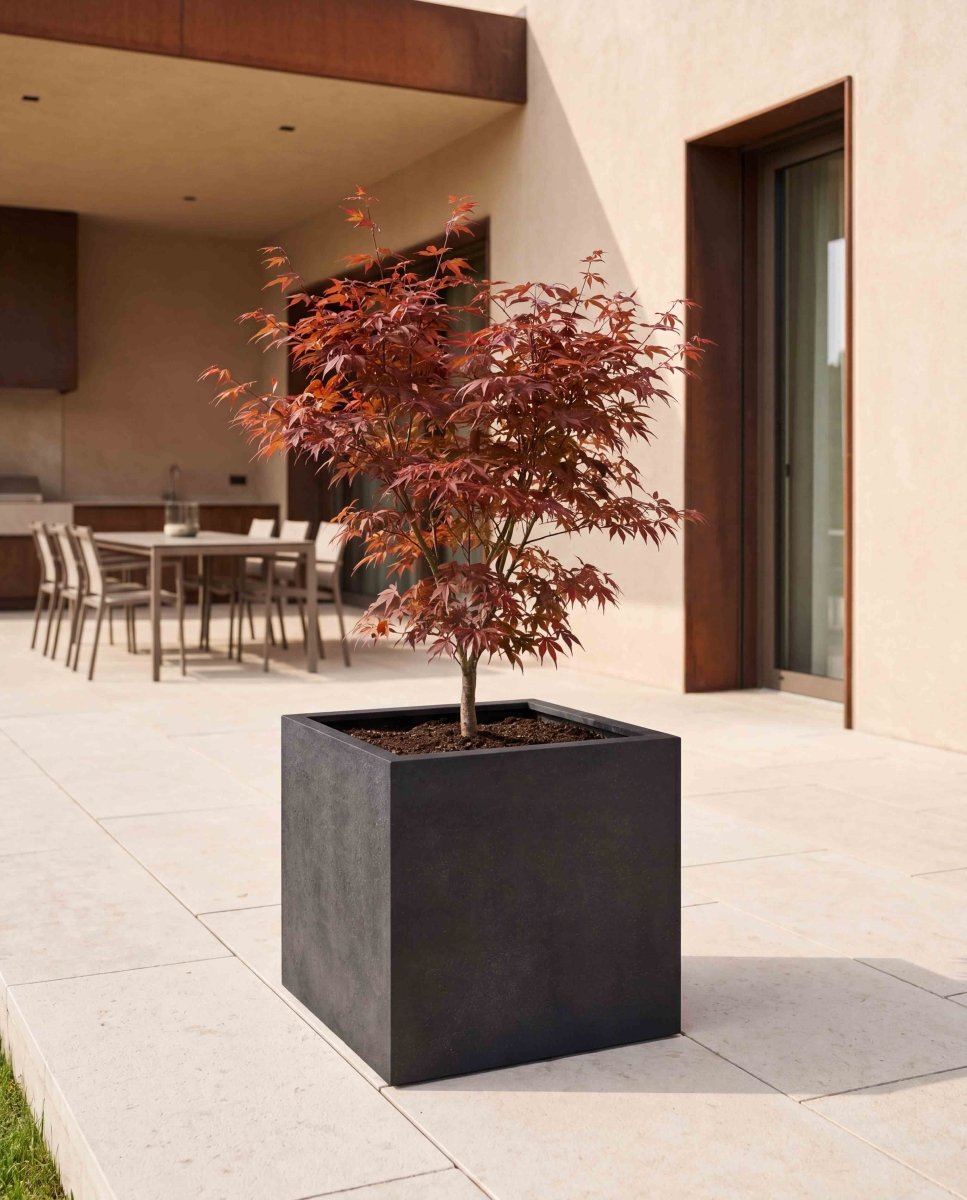 Cube | Loft Collection | Espresso Black - ESCHBACH