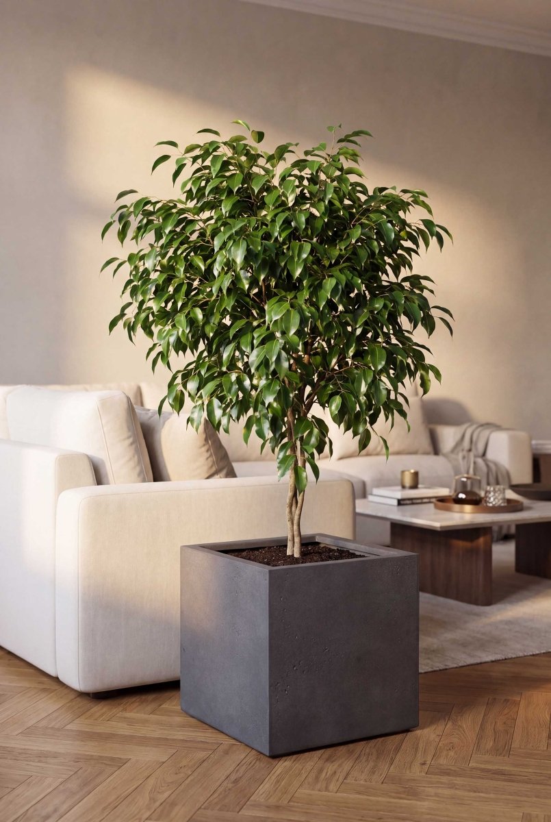 Cube | Loft Collection | Lead Grey - ESCHBACH