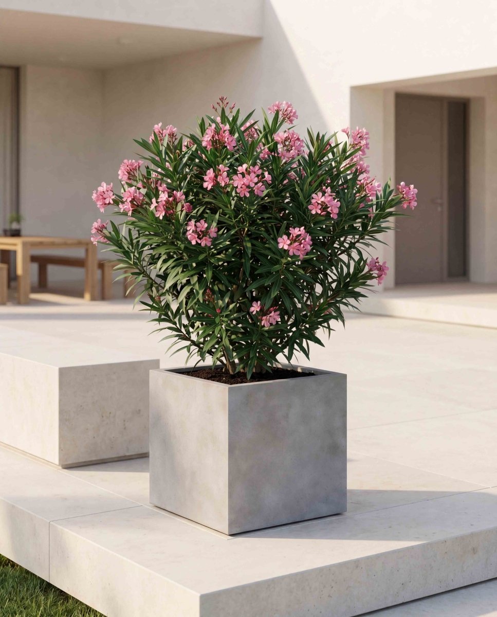 Cube | Loft Collection | Light Grey - ESCHBACH
