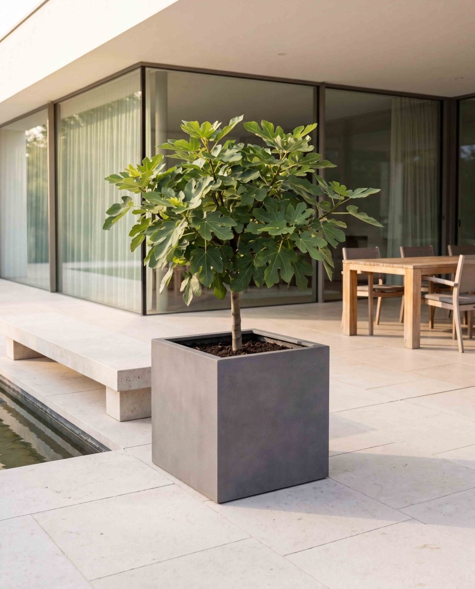 Cube | Loft Collection | Concrete Grey - ESCHBACH