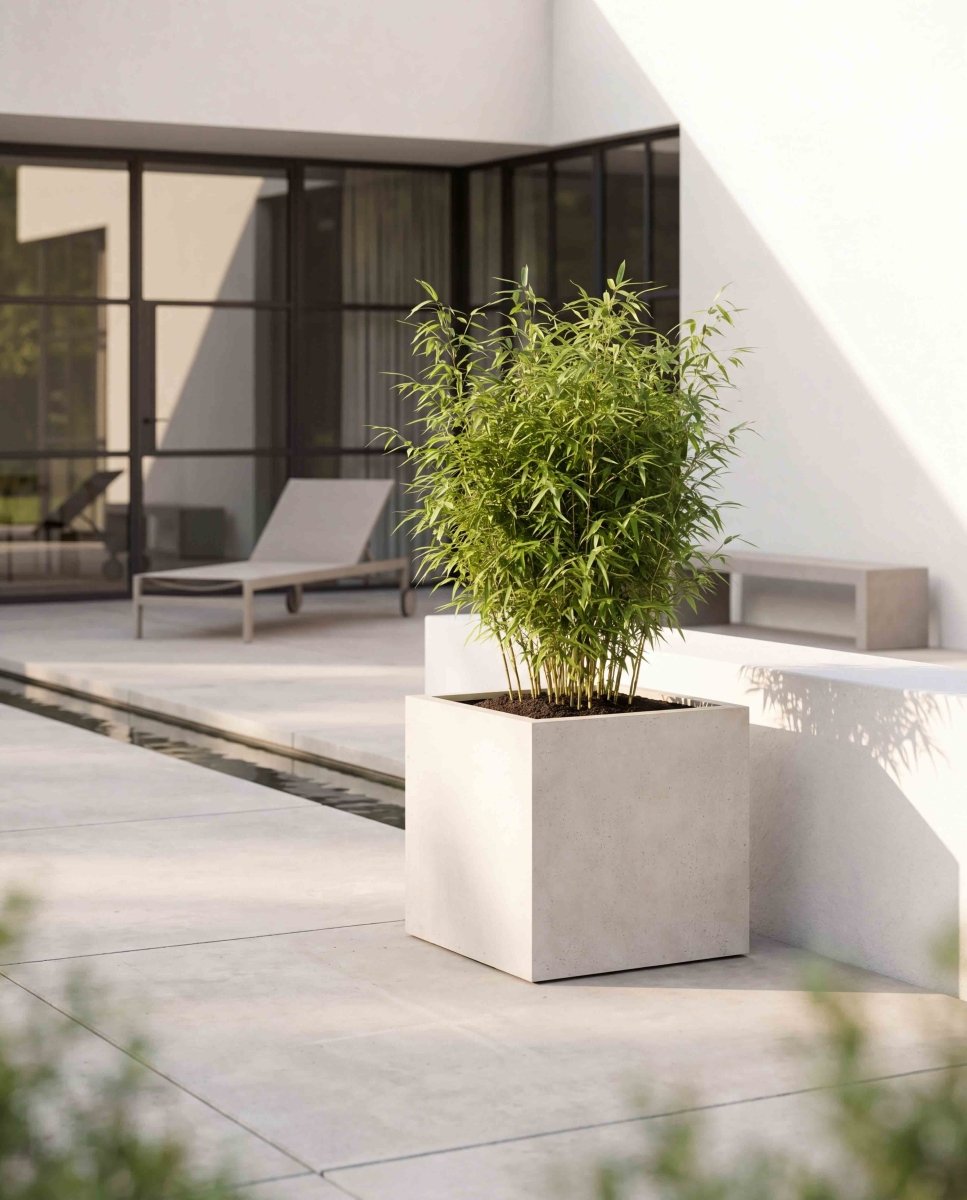 Cube | Loft Collection | Off White - ESCHBACH