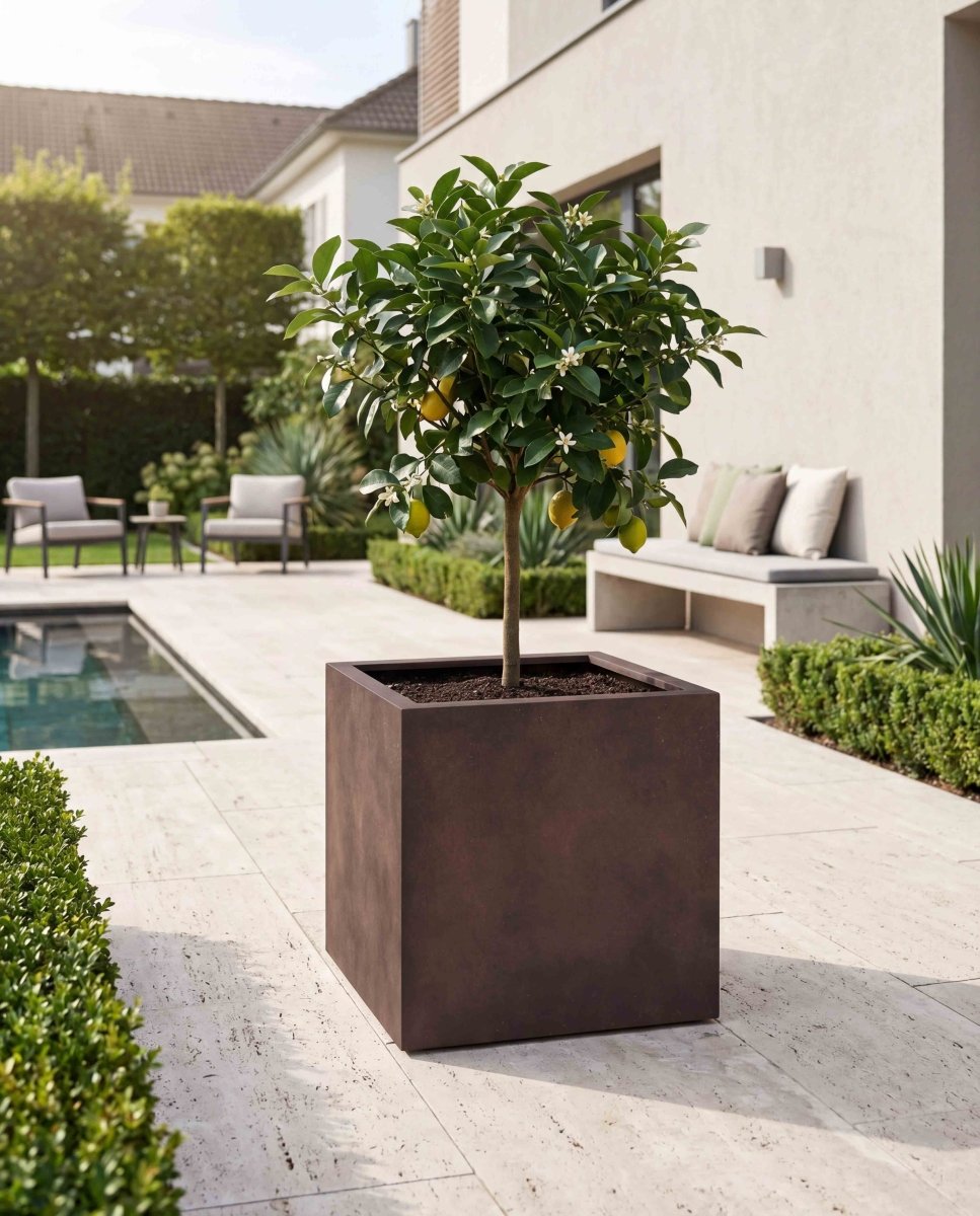 Cube | Loft Collection | Rust Brown - ESCHBACH