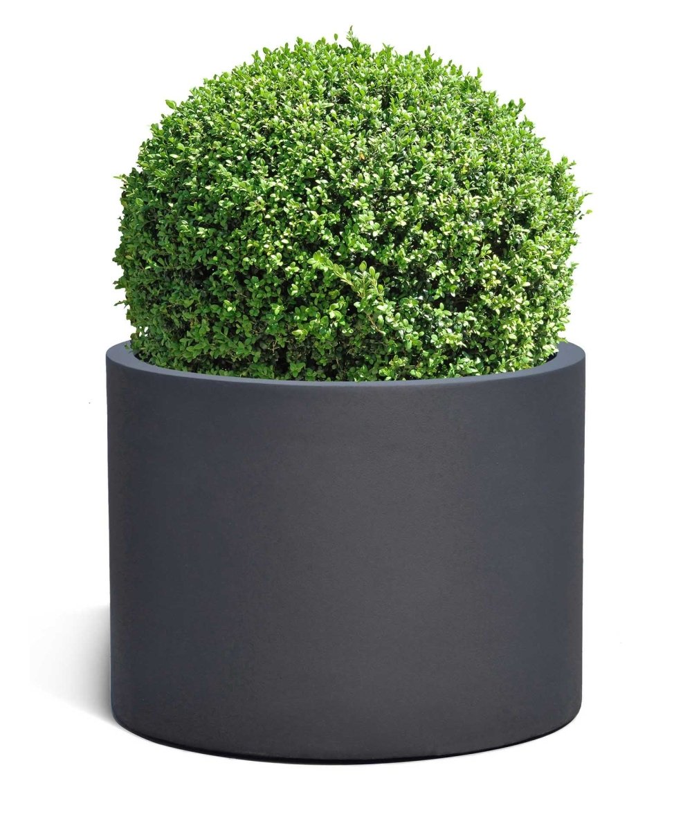 Low Cylinder | Pure Collection | Onyx Black - ESCHBACH