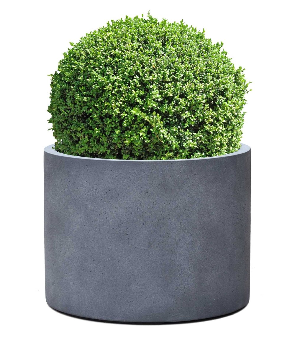 Low Cylinder | Loft Collection | Lead Grey - ESCHBACH