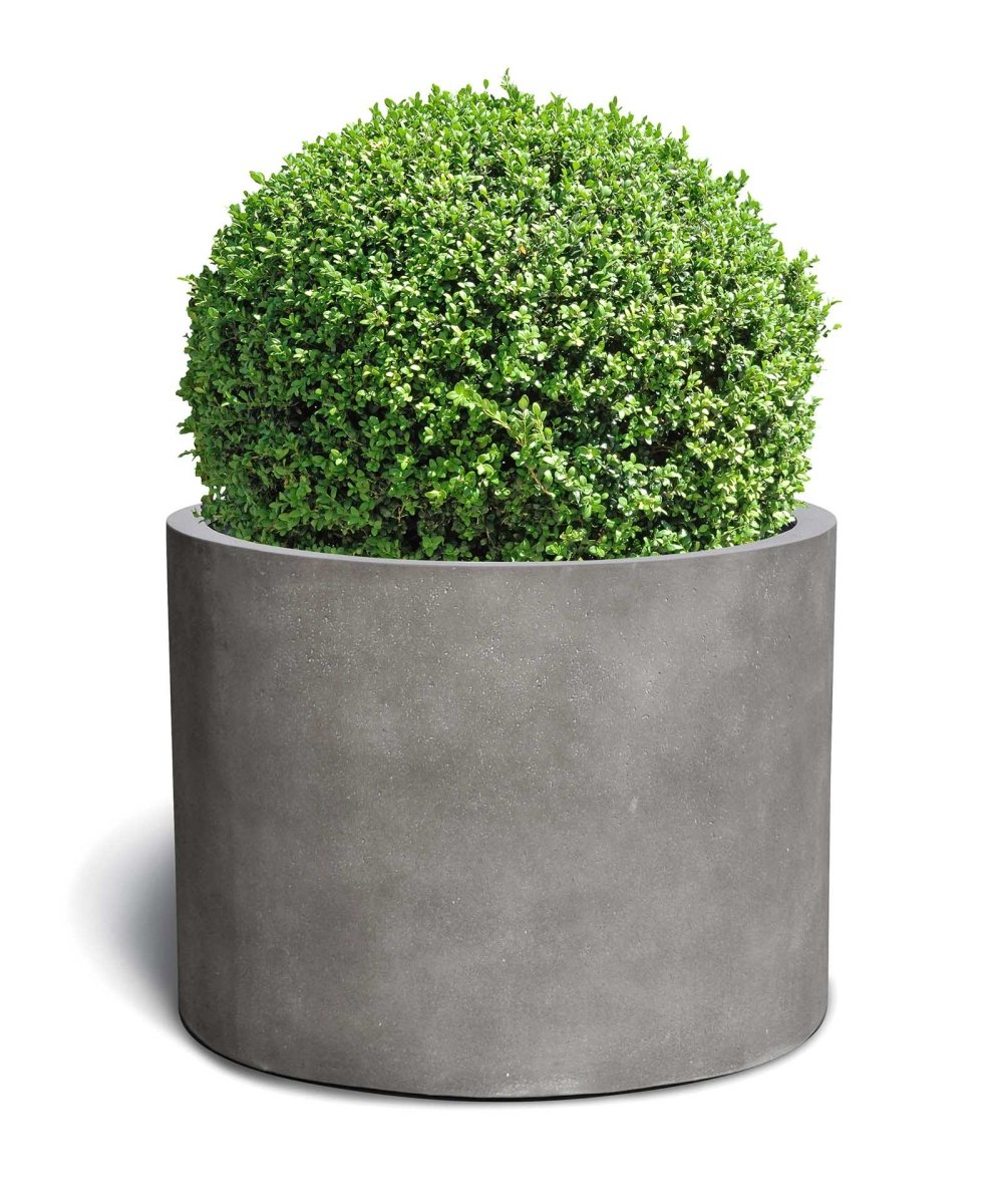 Low Cylinder | Loft Collection | Concrete Grey - ESCHBACH