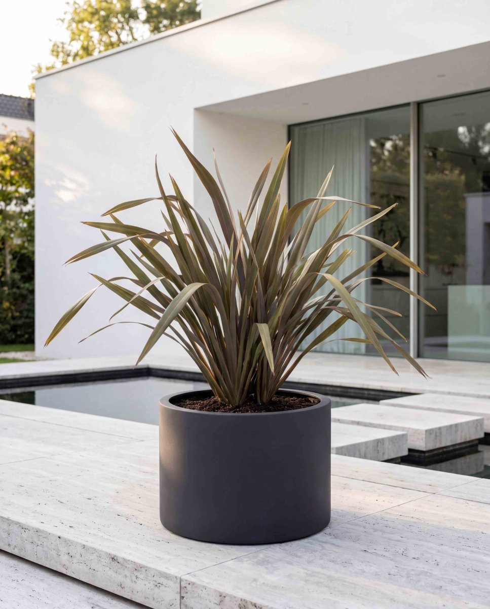 Low Cylinder | Pure Collection | Onyx Black - ESCHBACH