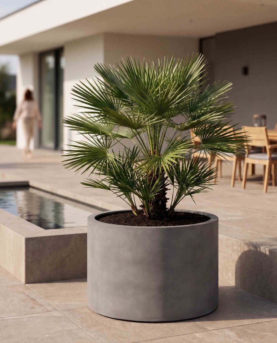 Low Cylinder | Loft Collection | Concrete Grey - ESCHBACH