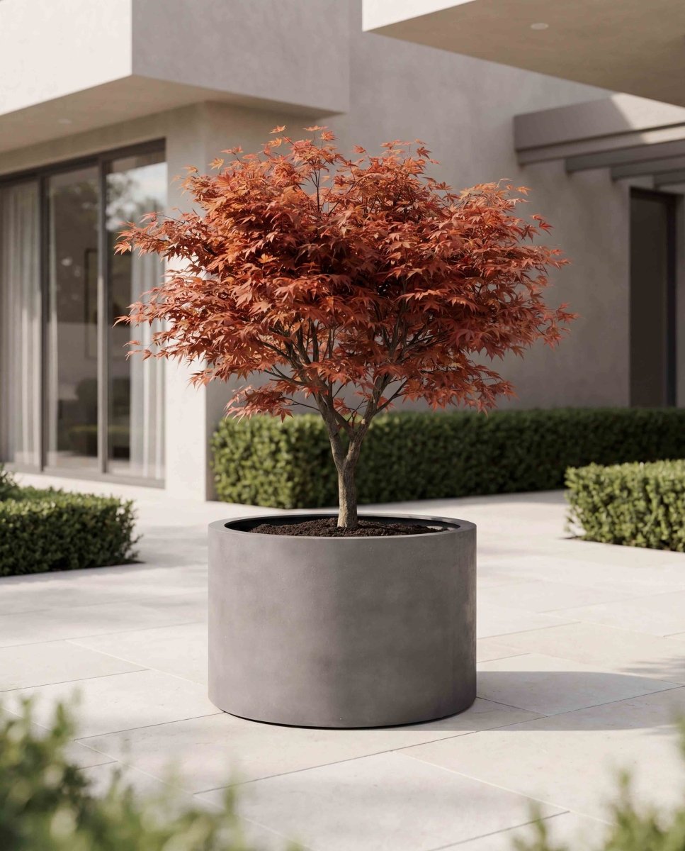 Low Cylinder | Loft Collection | Concrete Grey - ESCHBACH