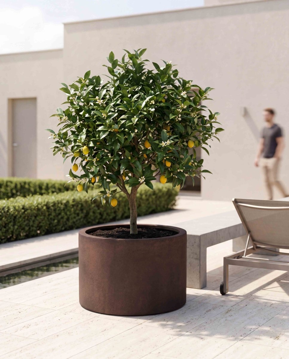 Low Cylinder | Loft Collection | Rust Brown - ESCHBACH