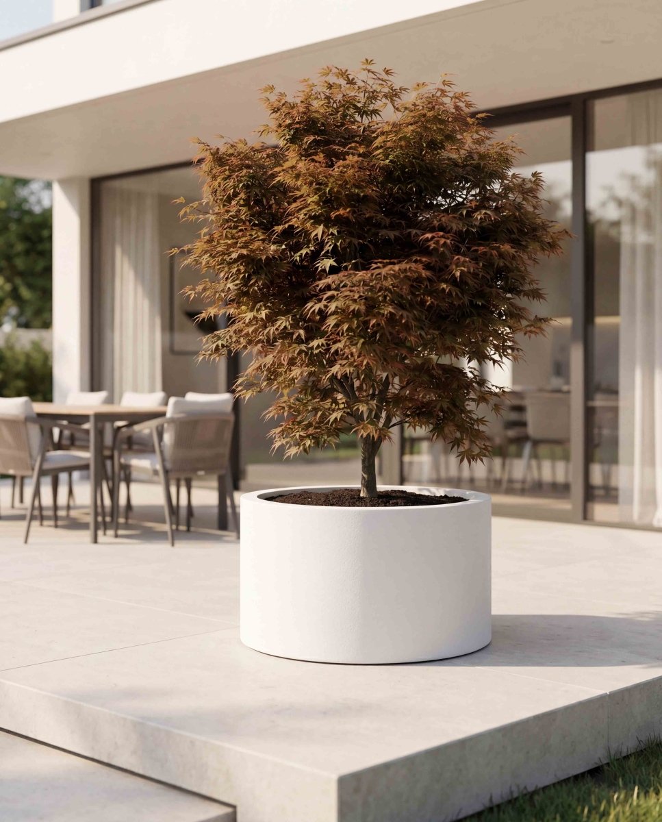 Low Cylinder | Pure Collection | Santorin White - ESCHBACH