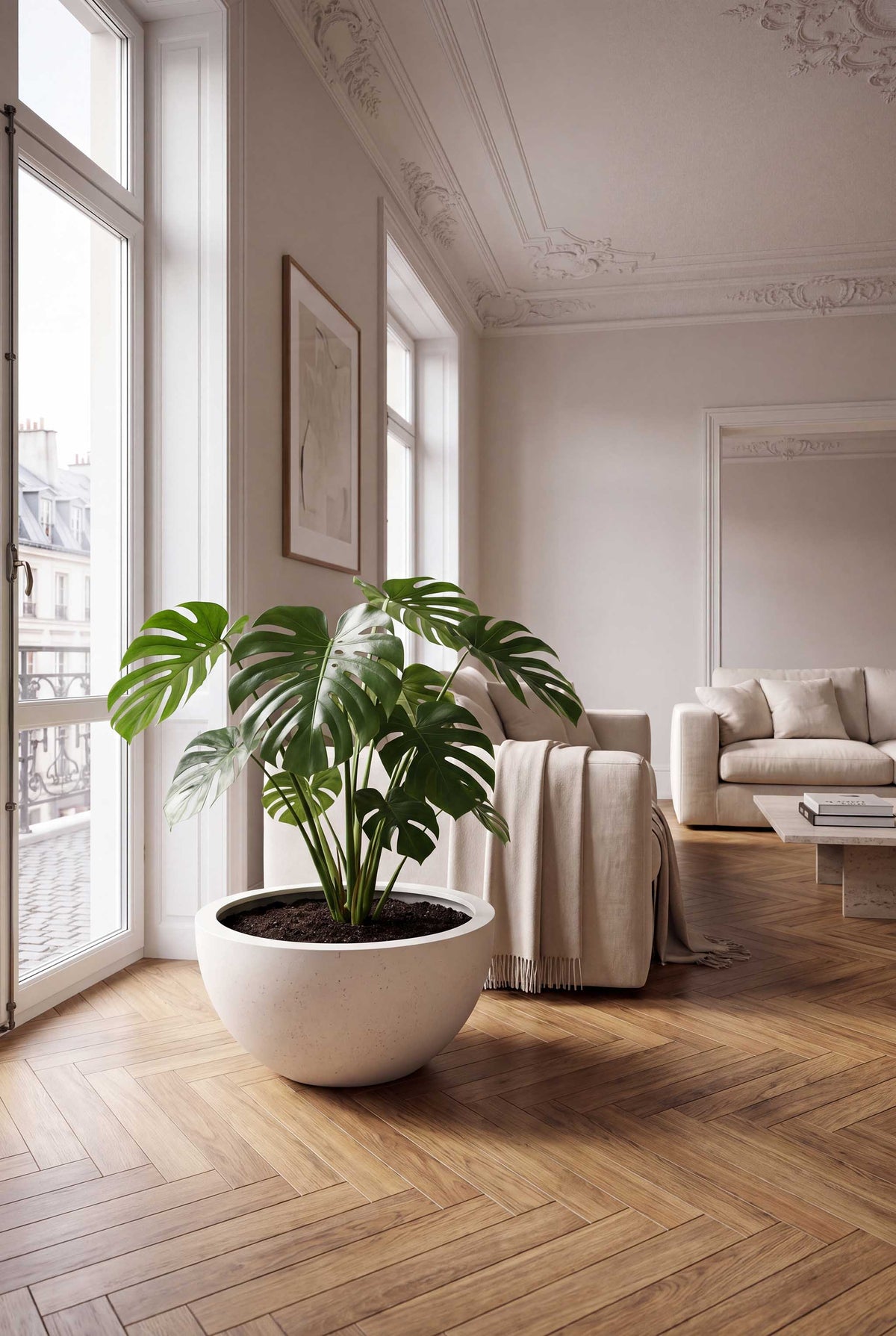 Low Egg Pot | Loft Collection | Off White