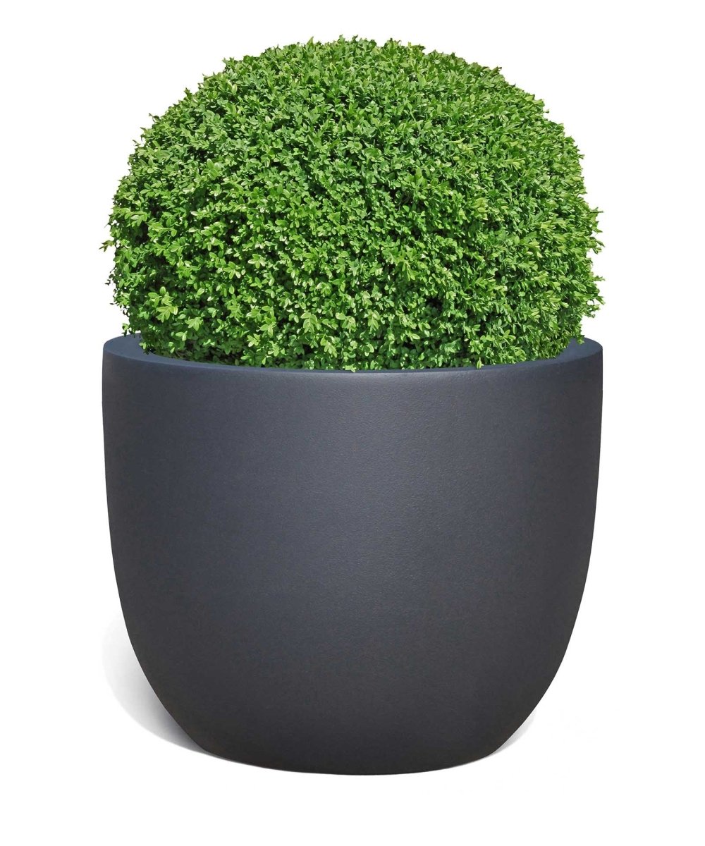 New Egg Pot | Pure Collection | Onyx Black - ESCHBACH