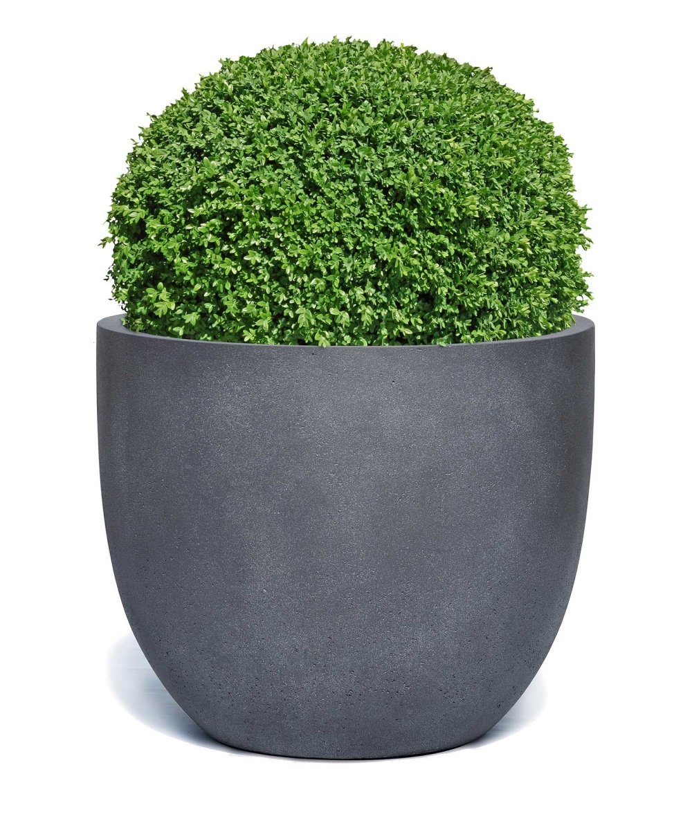 New Egg Pot | Loft Collection | Lead Grey - ESCHBACH