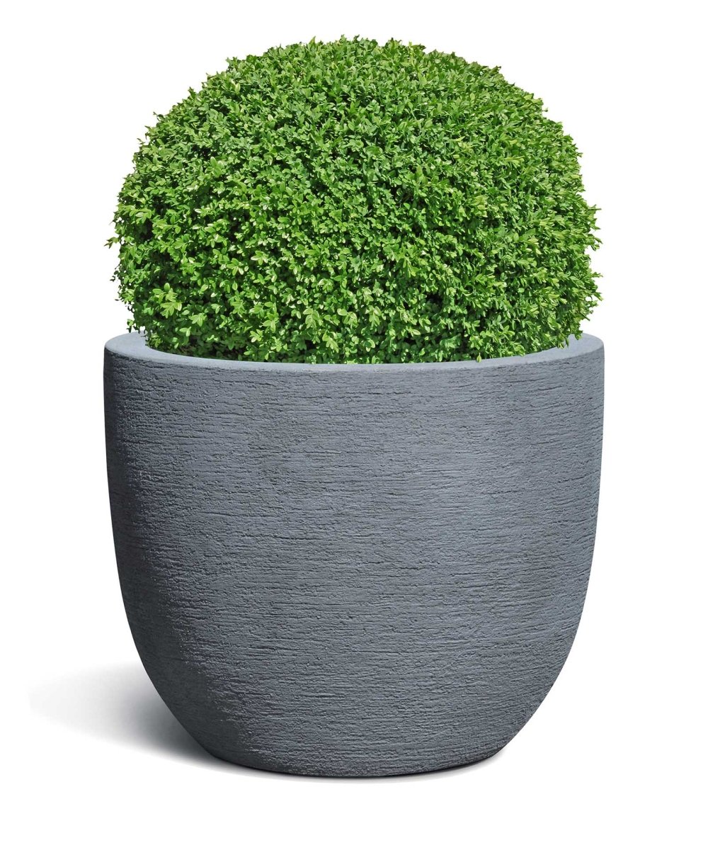 New Egg Pot | Terra Collection | Lead Grey - ESCHBACH