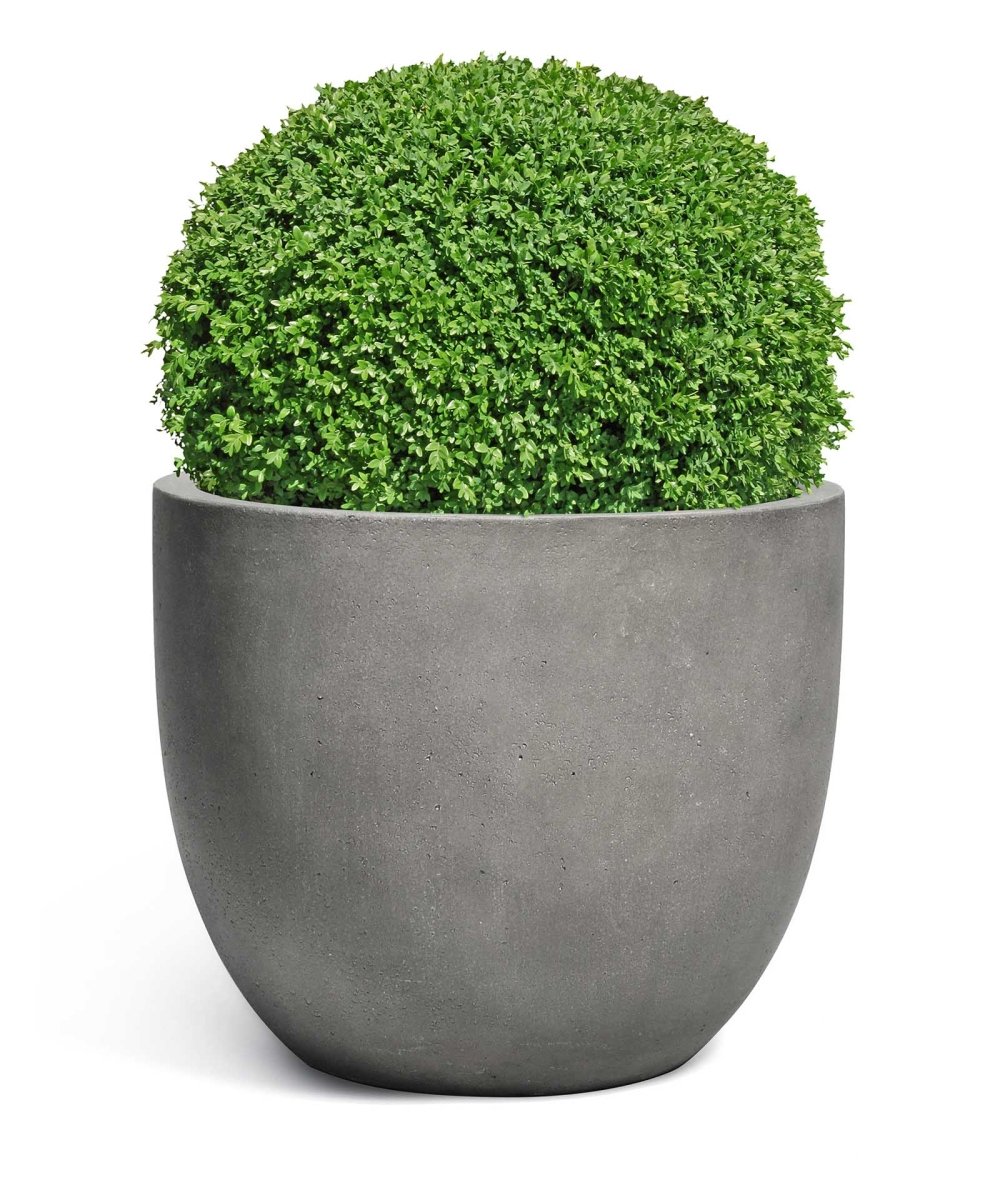 New Egg Pot | Loft Collection | Concrete Grey - ESCHBACH