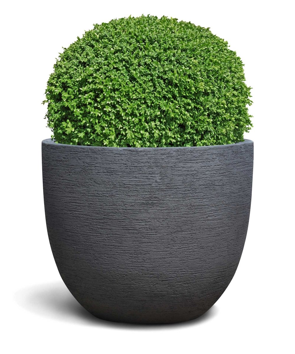 New Egg Pot | Terra Collection | Black Sand - ESCHBACH