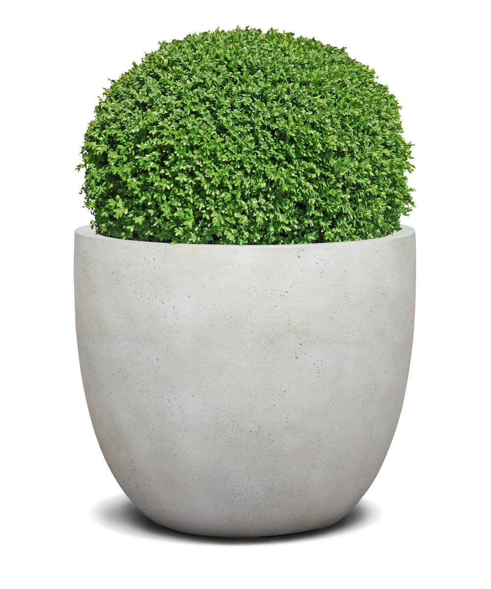 New Egg Pot | Loft Collection | Off White - ESCHBACH