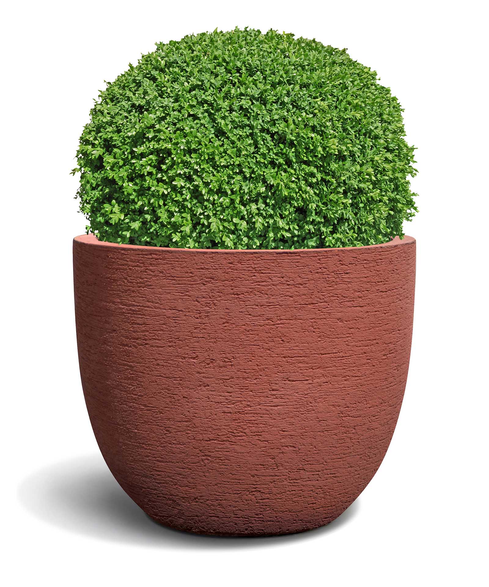 New Egg Pot | Terra Collection | Siena Red