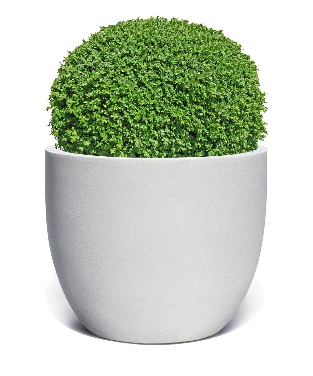 New Egg Pot | Pure Collection | Santorin White - ESCHBACH