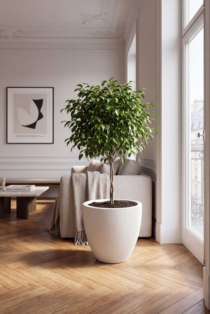 Classic Egg Pot | Vertical Lines Collection | Vertical White - ESCHBACH
