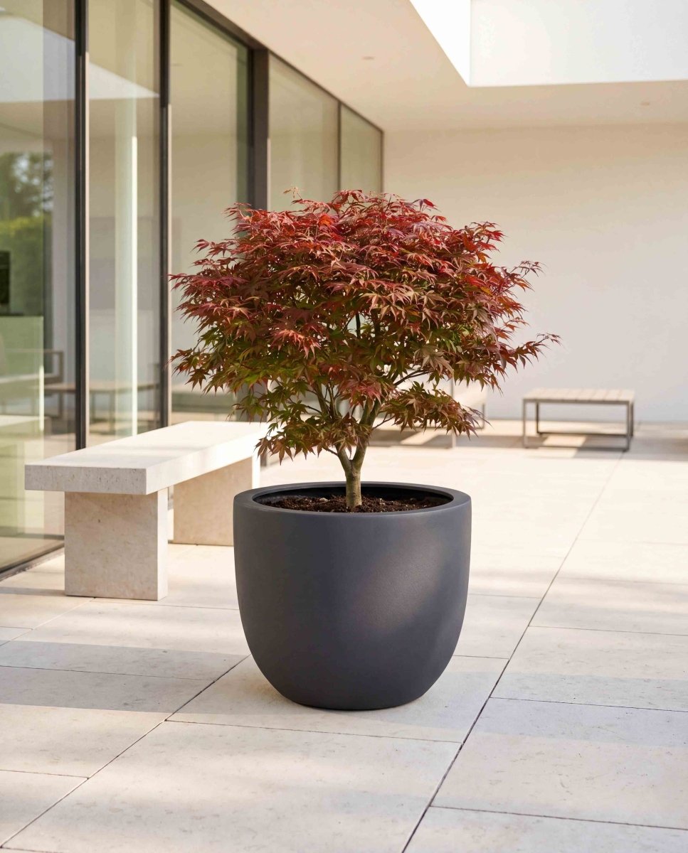 New Egg Pot | Pure Collection | Onyx Black - ESCHBACH