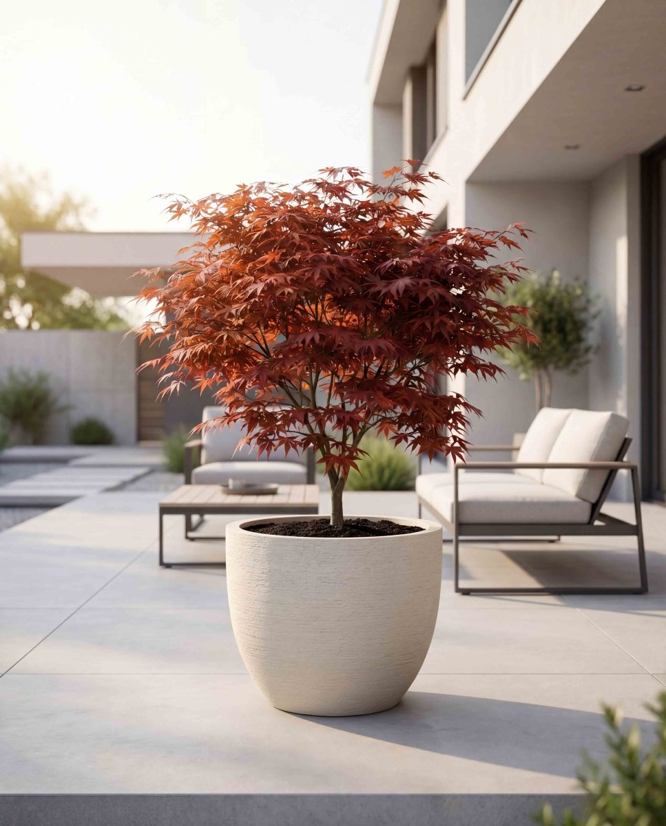 New Egg Pot | Terra Collection | Champagne White - ESCHBACH