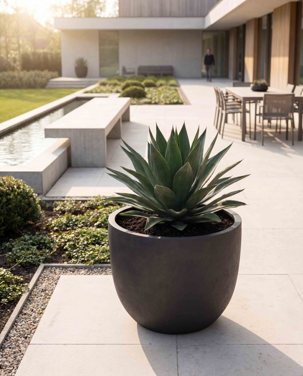 New Egg Pot | Loft Collection | Espresso Black - ESCHBACH