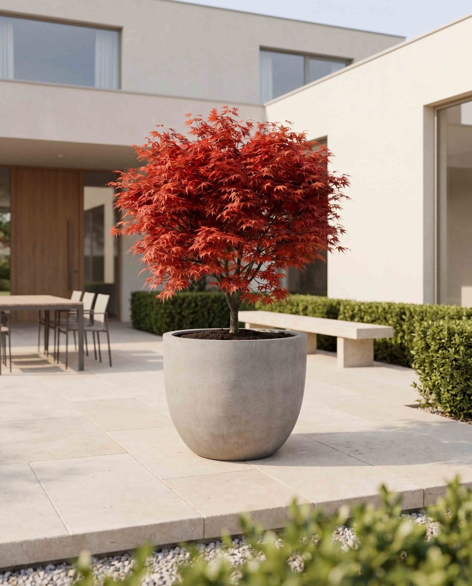 New Egg Pot | Granite Collection | Granite Grey - ESCHBACH