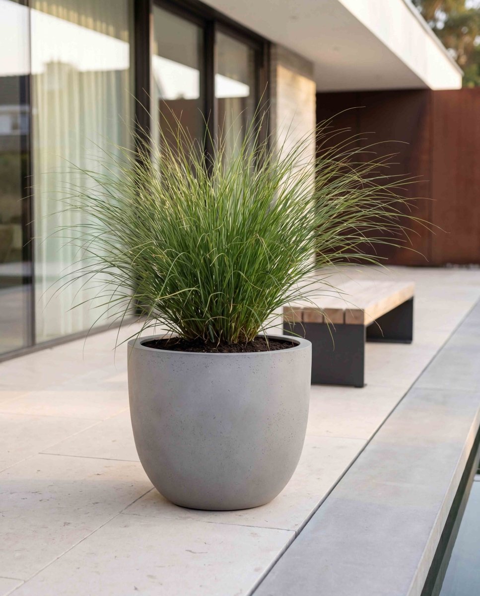 New Egg Pot | Loft Collection | Light Grey - ESCHBACH