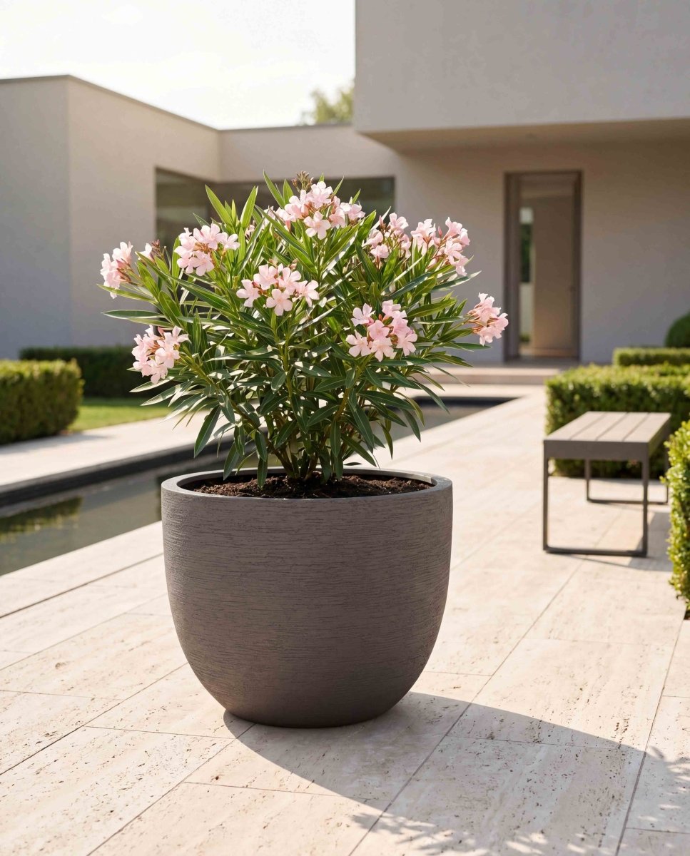 New Egg Pot | Terra Collection | Macchiato Grey - ESCHBACH