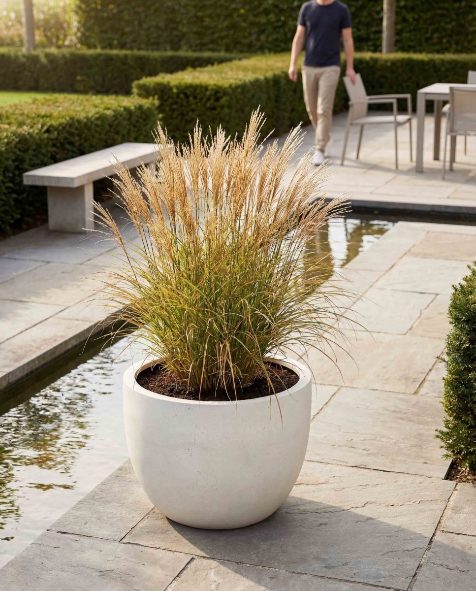 New Egg Pot | Loft Collection | Off White - ESCHBACH