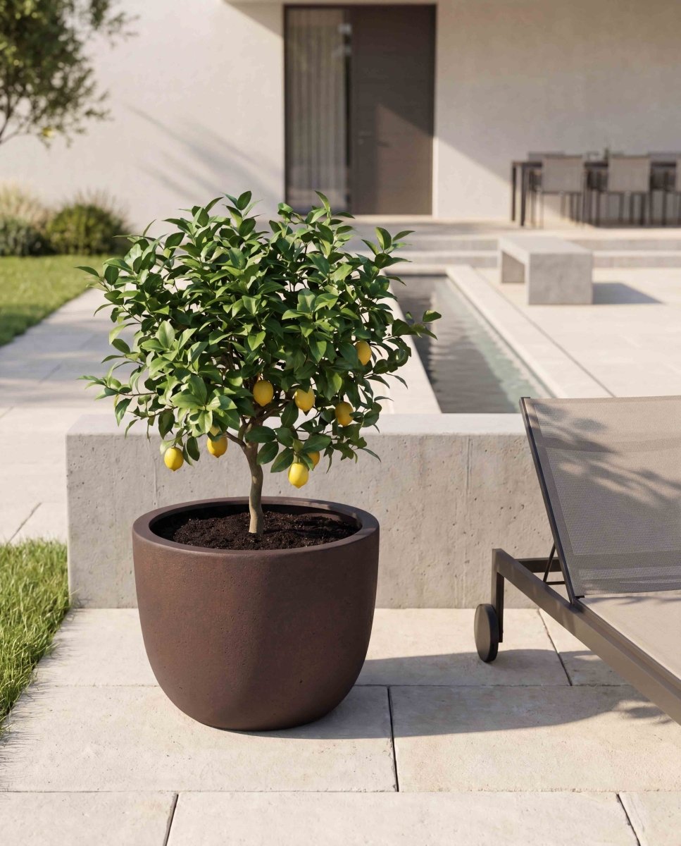 New Egg Pot | Loft Collection | Rust Brown - ESCHBACH