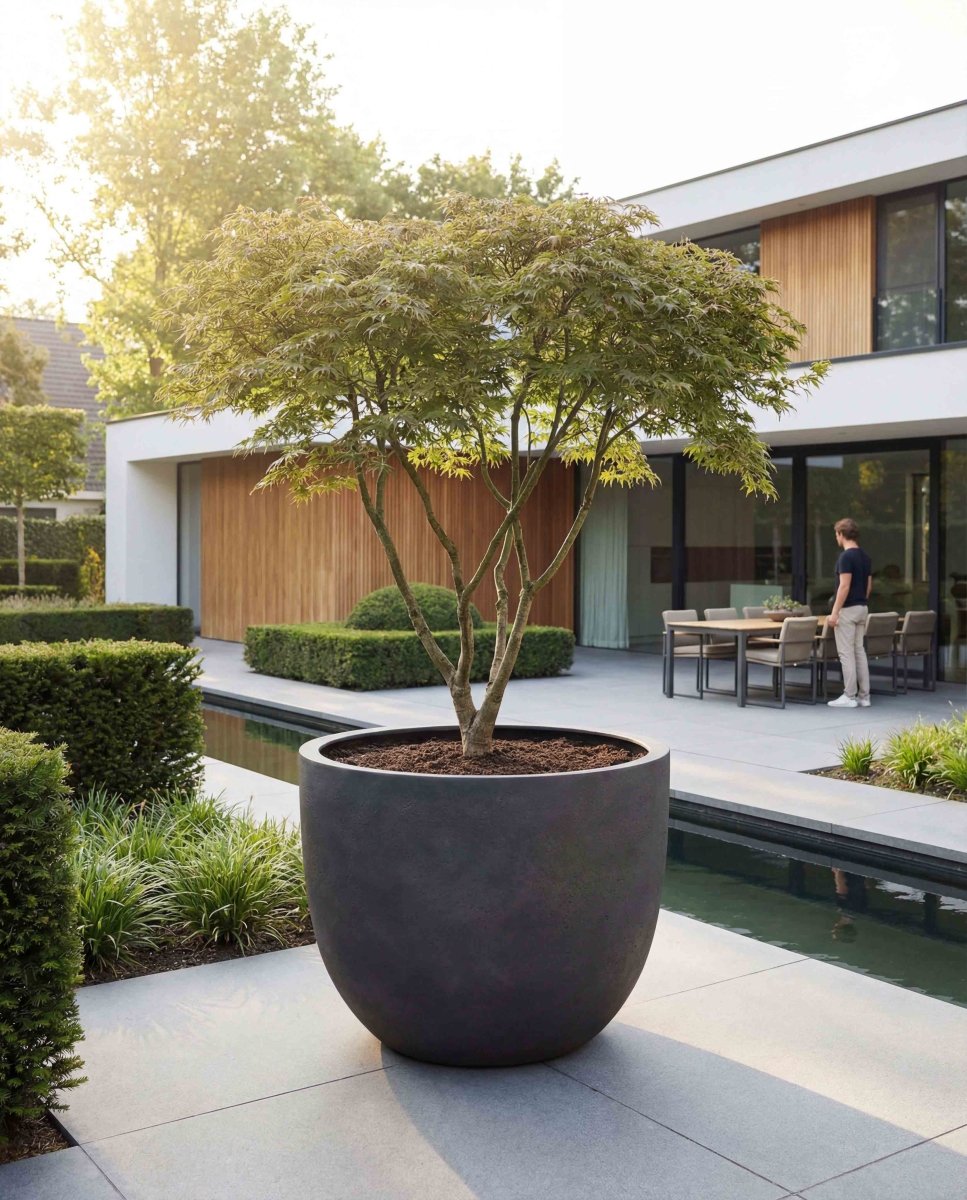New Egg Pot | Loft Collection | Espresso Black - ESCHBACH