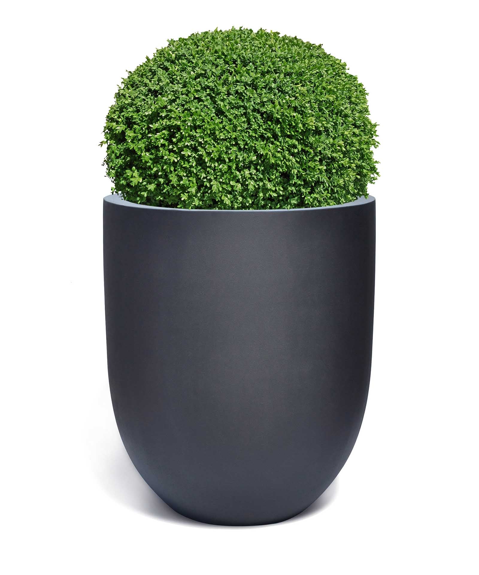 Tall Egg Pot | Pure Collection | Onyx Black
