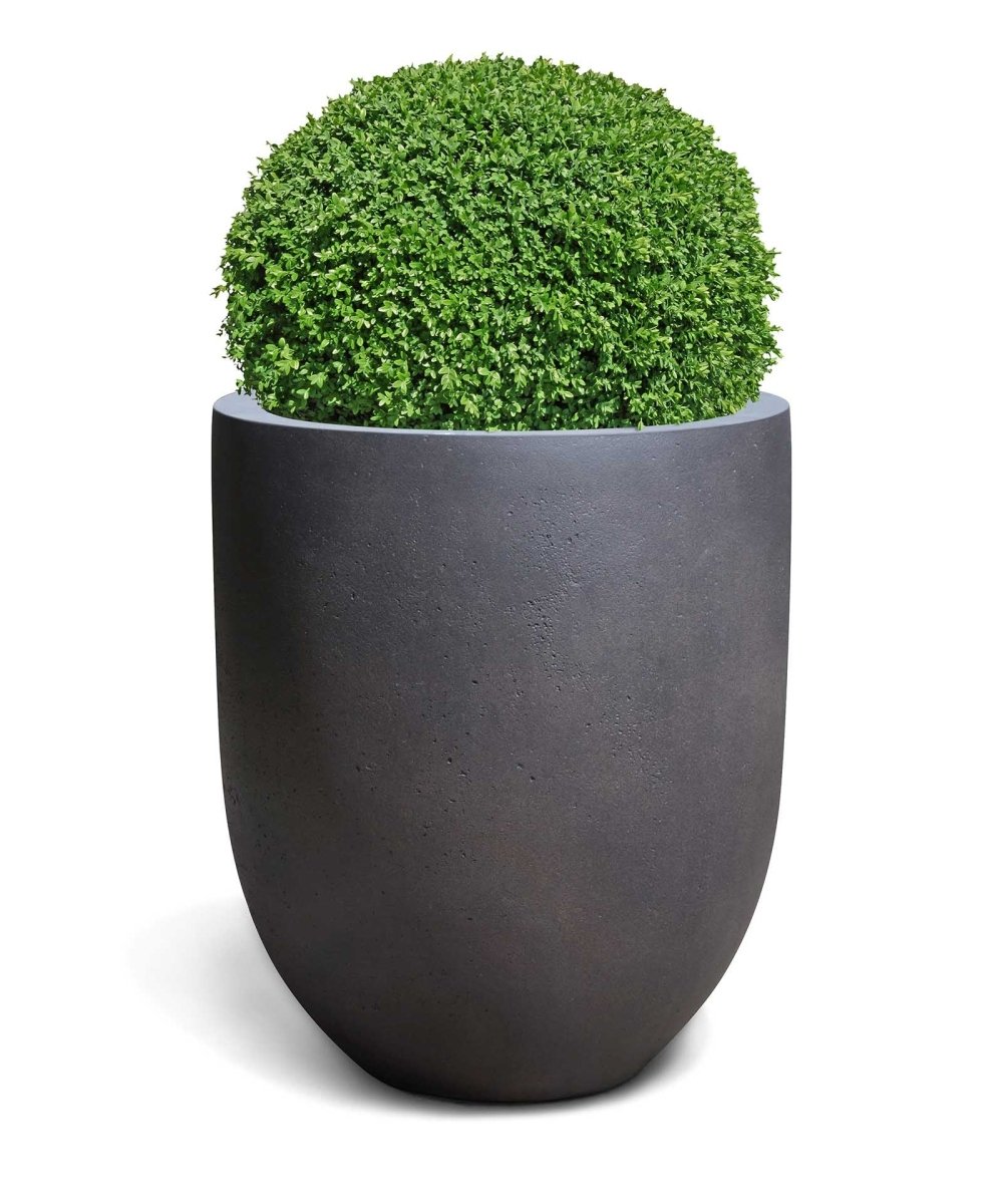 Tall Egg Pot | Loft Collection | Espresso Black - ESCHBACH
