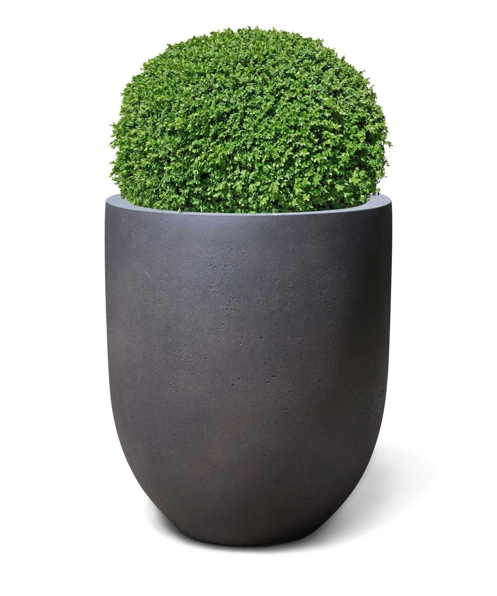 Tall Egg Pot | Loft Collection | Espresso Black - ESCHBACH