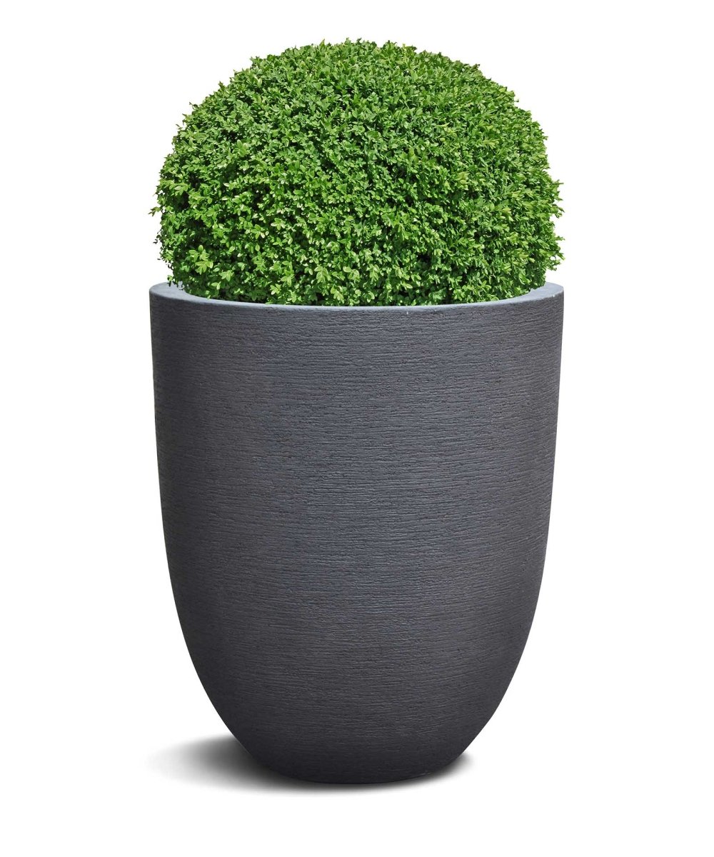 Tall Egg Pot | Terra Collection | Black Sand - ESCHBACH