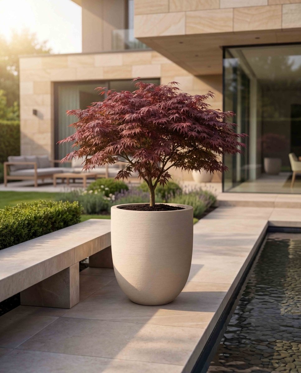 Tall Egg Pot | Terra Collection | Champagne White - ESCHBACH
