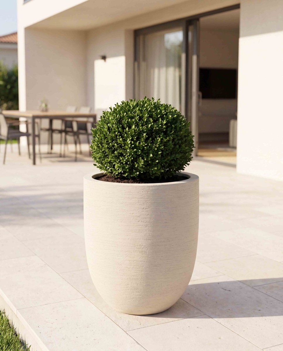 Tall Egg Pot | Terra Collection | Champagne White - ESCHBACH