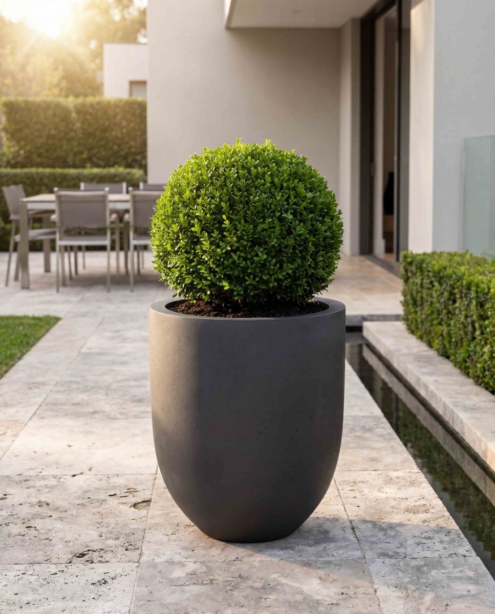 Tall Egg Pot | Loft Collection | Espresso Black - ESCHBACH