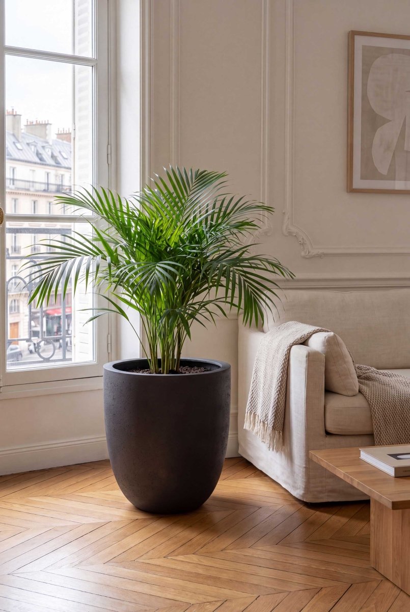 Tall Egg Pot | Loft Collection | Espresso Black - ESCHBACH