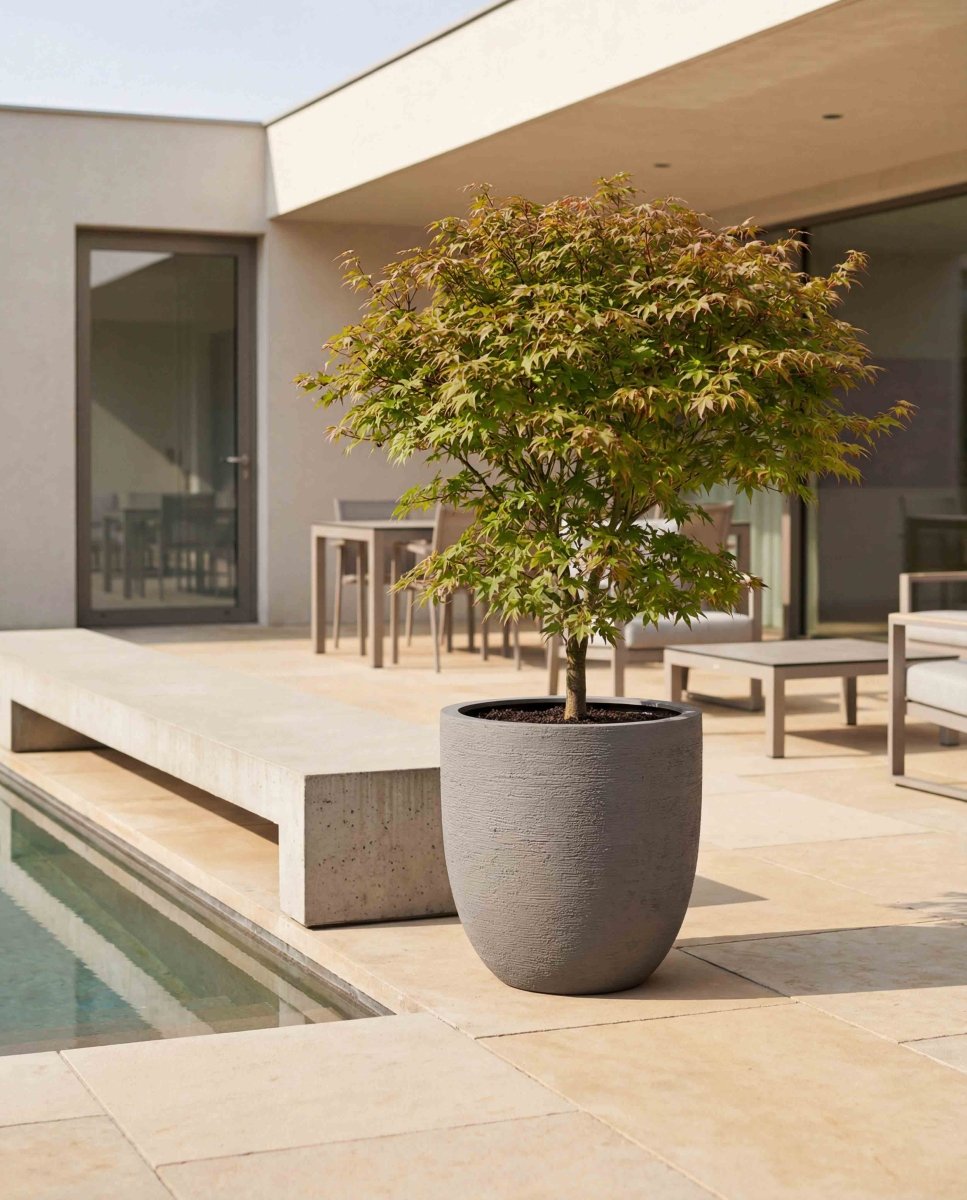 Tall Egg Pot | Terra Collection | Macchiato Grey - ESCHBACH