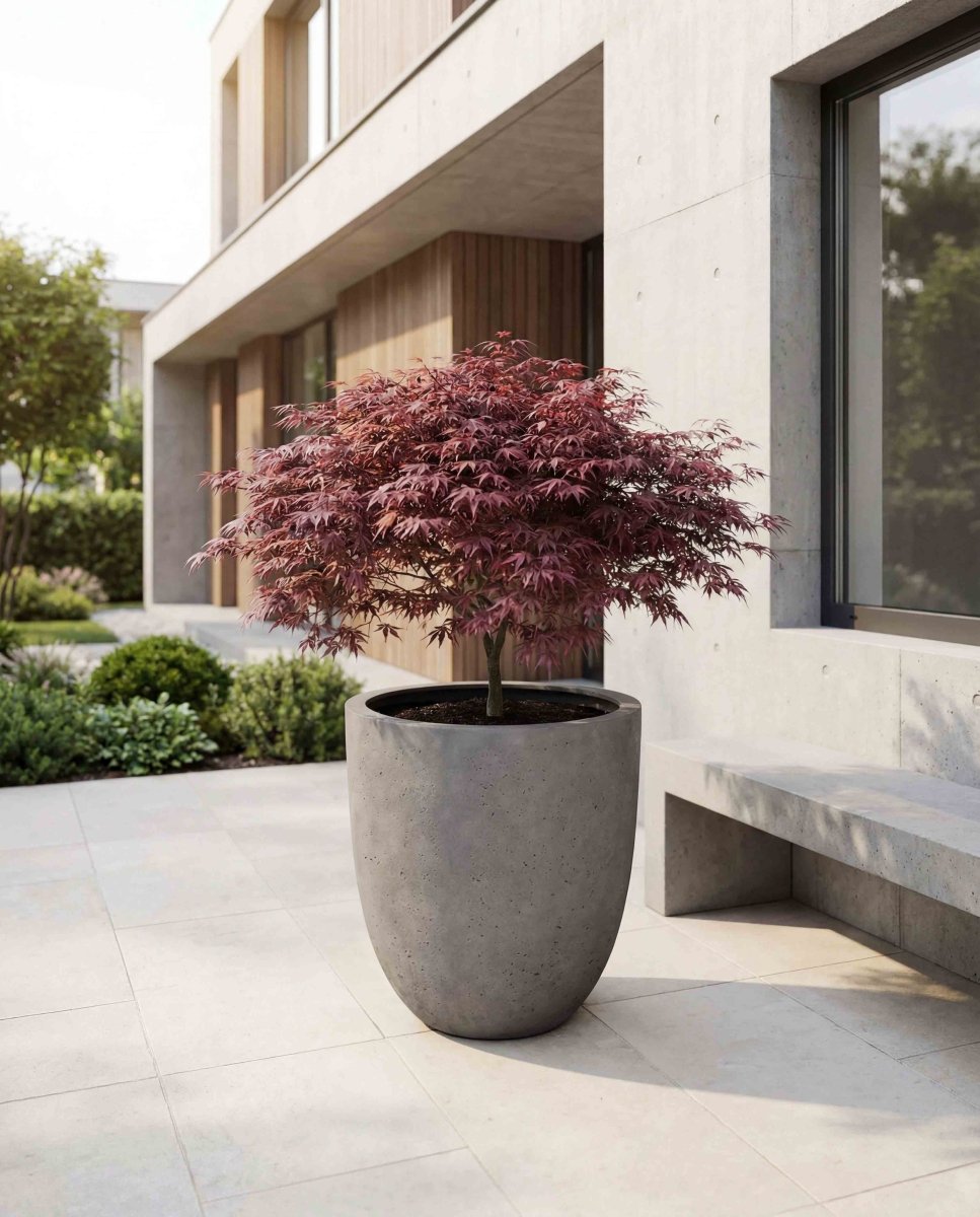 Tall Egg Pot | Loft Collection | Concrete Grey - ESCHBACH